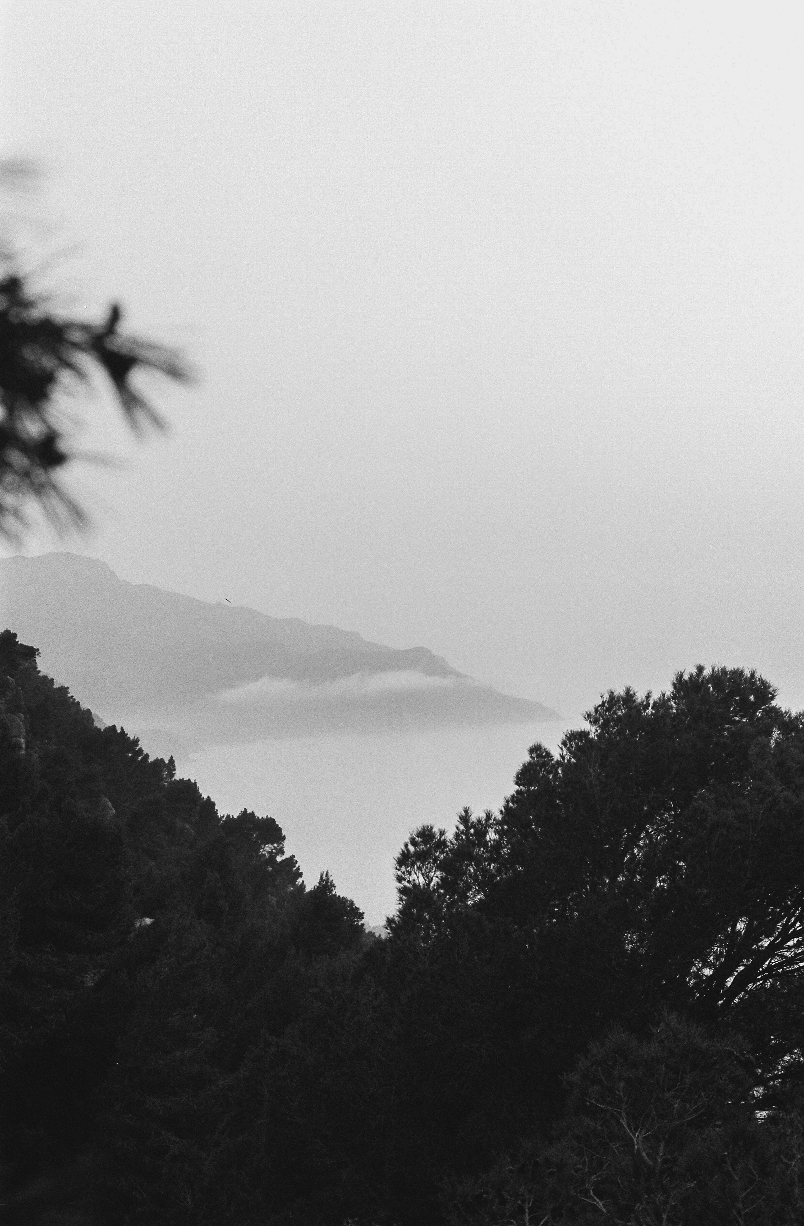 Aldiaz 080 (FP4) 25.jpg