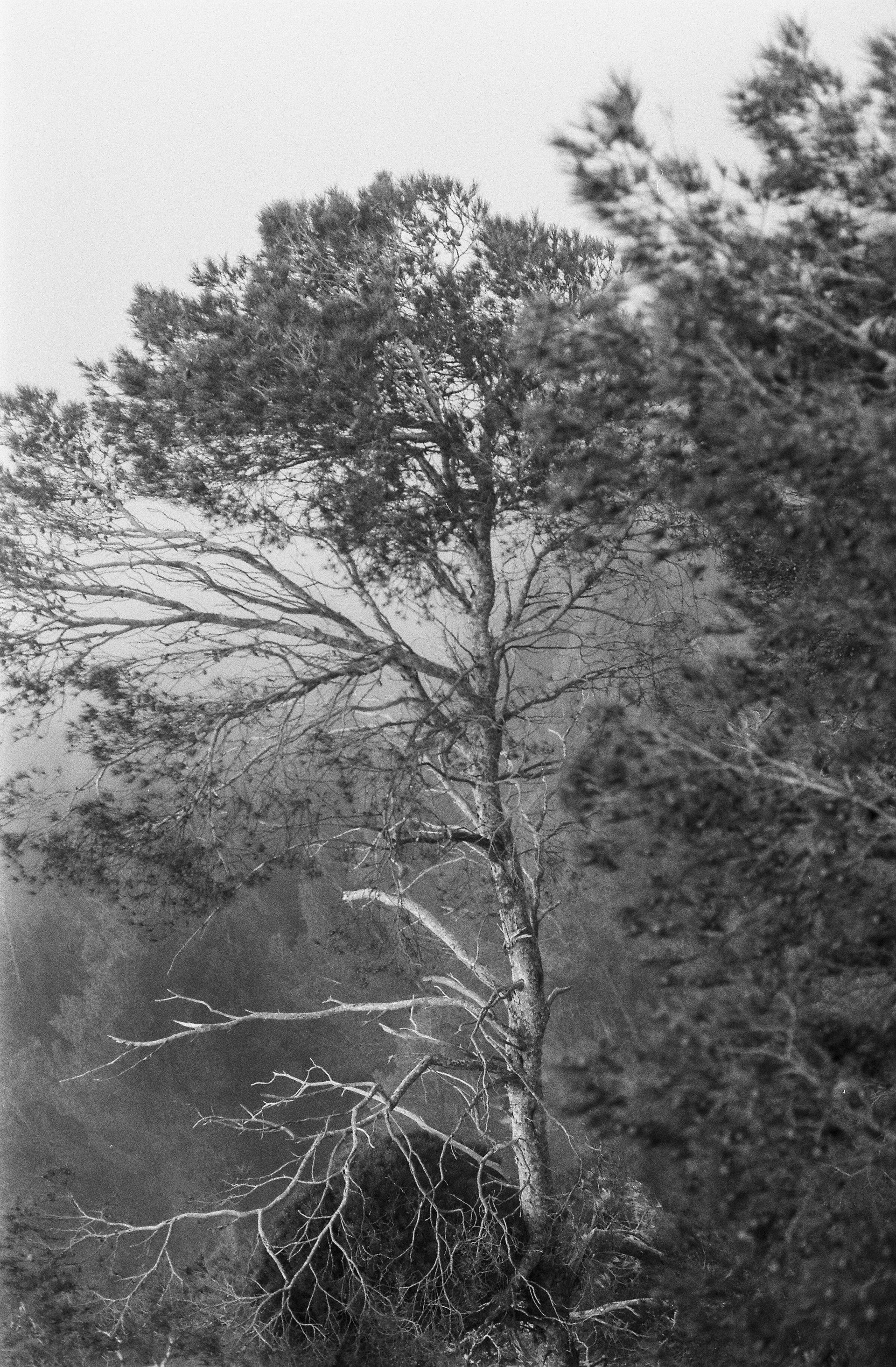 Aldiaz 080 (FP4) 16.jpg