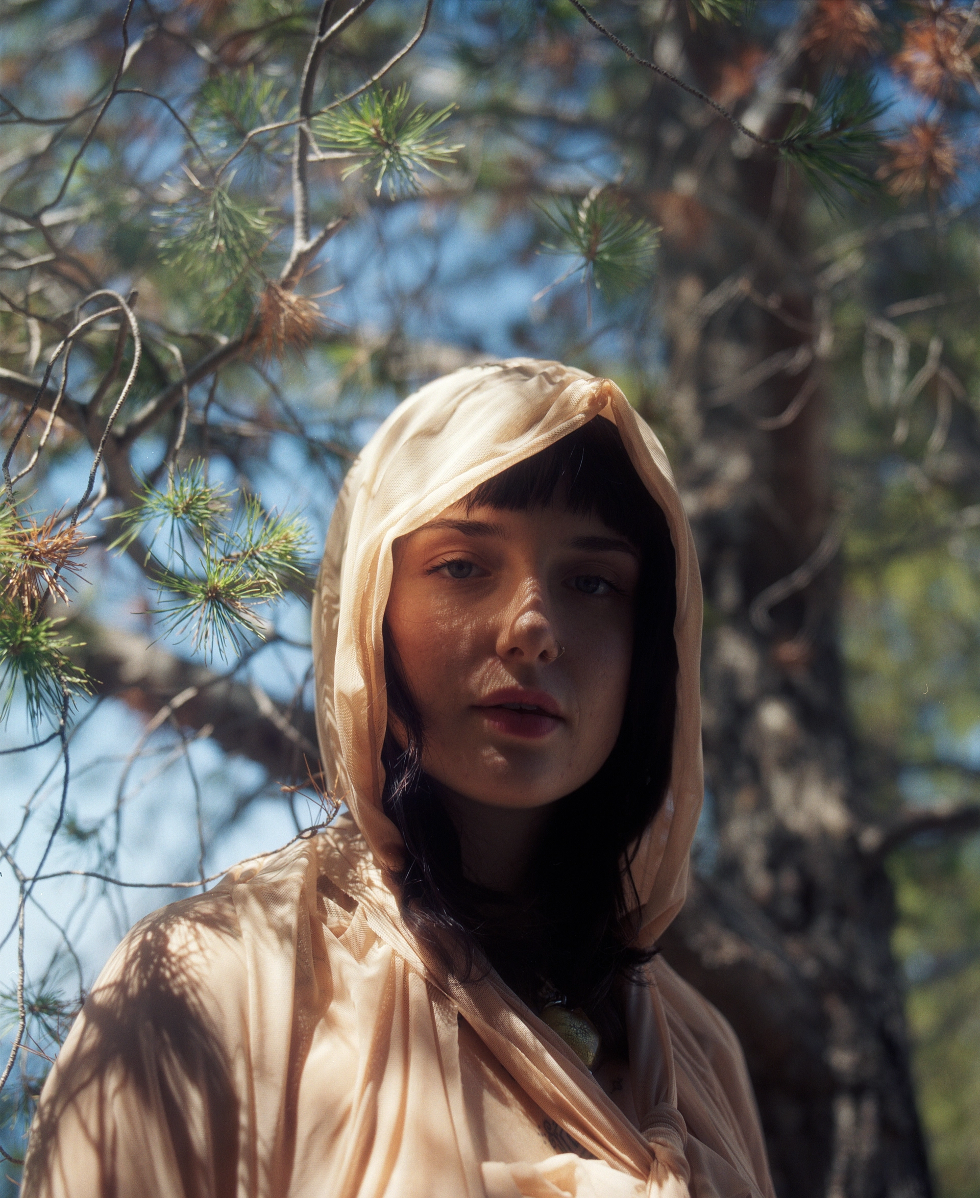 ALDIAZ 125 (KODAK GOLD)_6.jpg