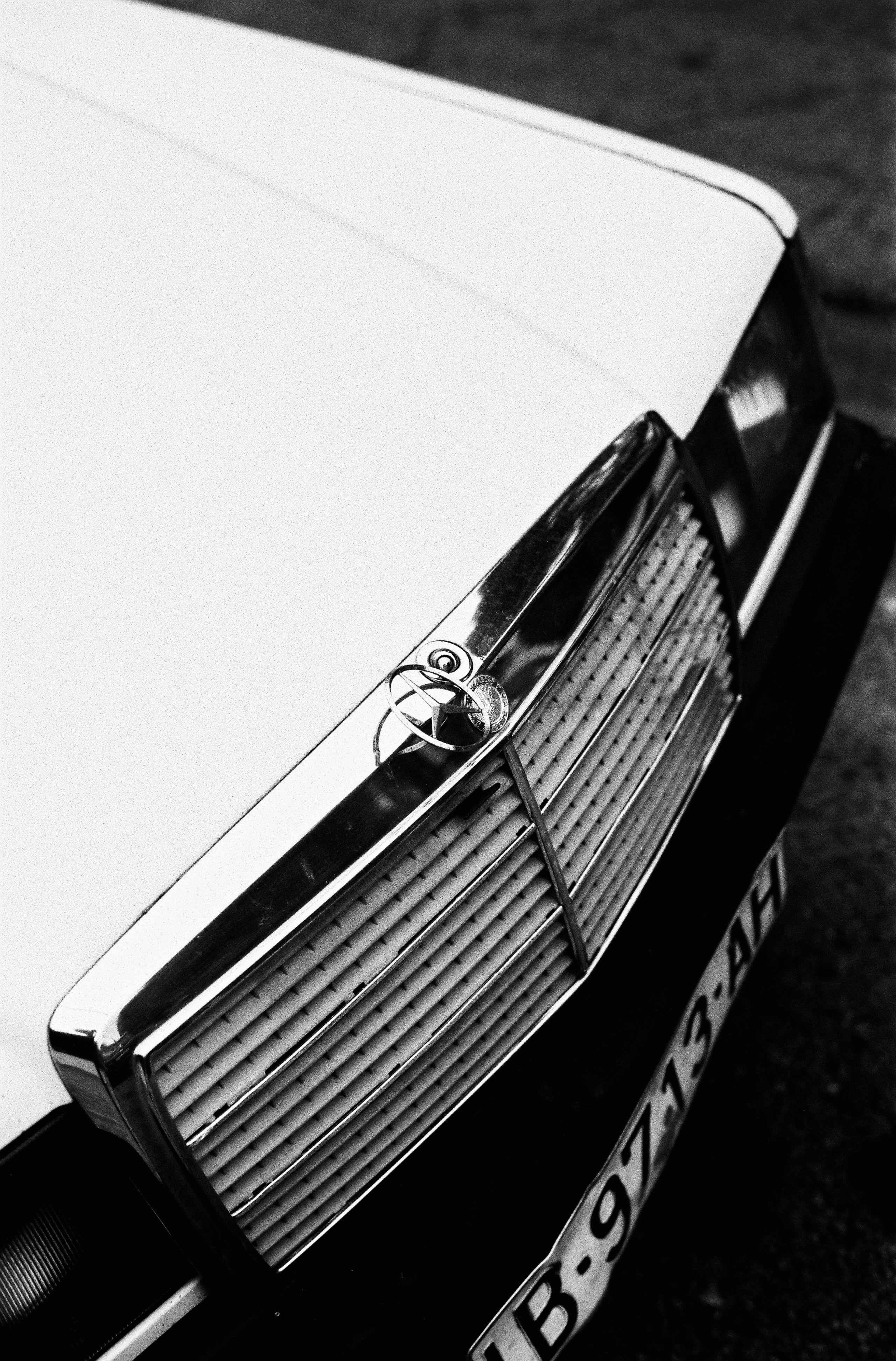 Aldiaz 064 (Rollei Infrared) 17.jpg