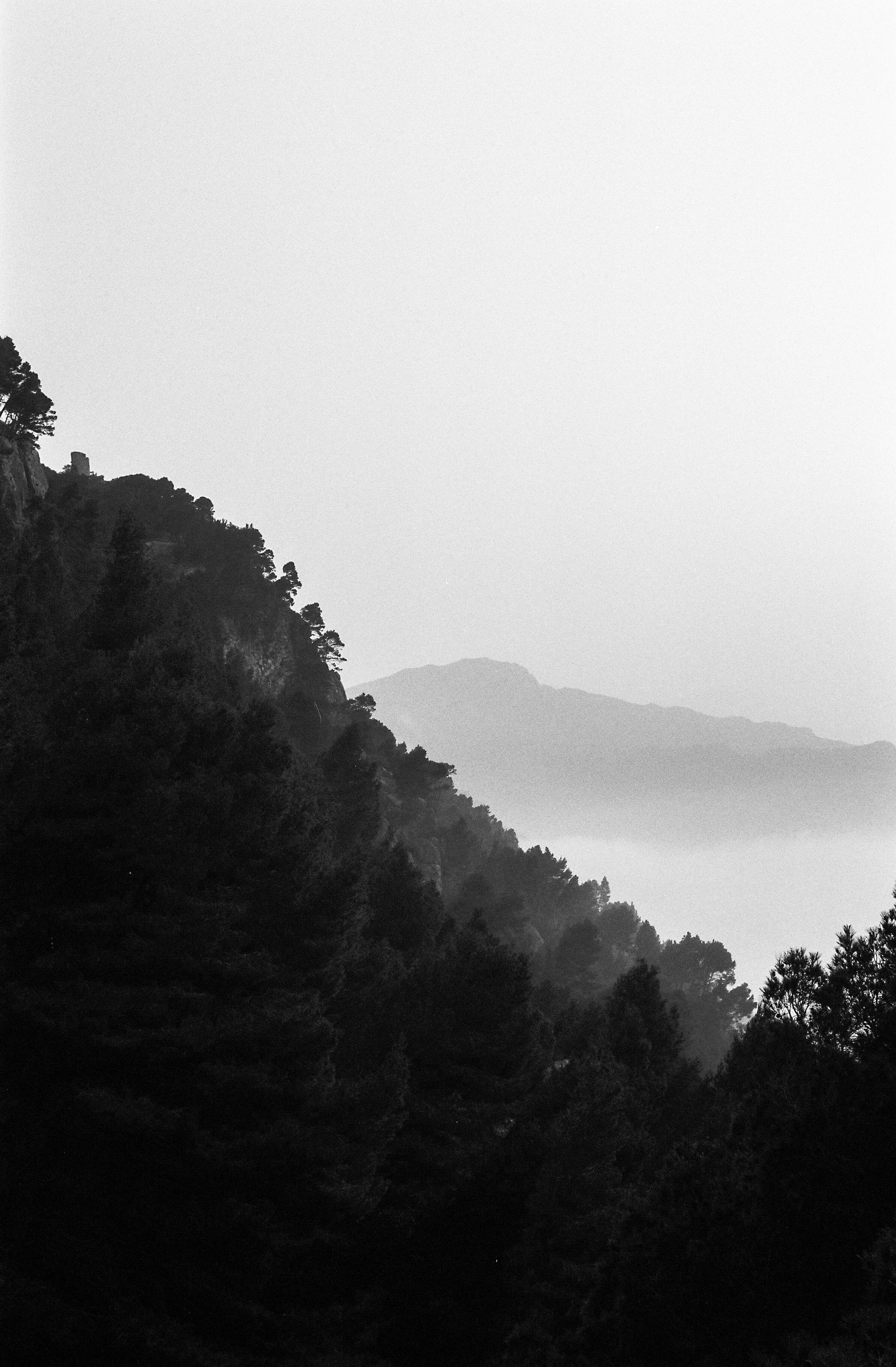 Aldiaz 080 (FP4) 21.jpg