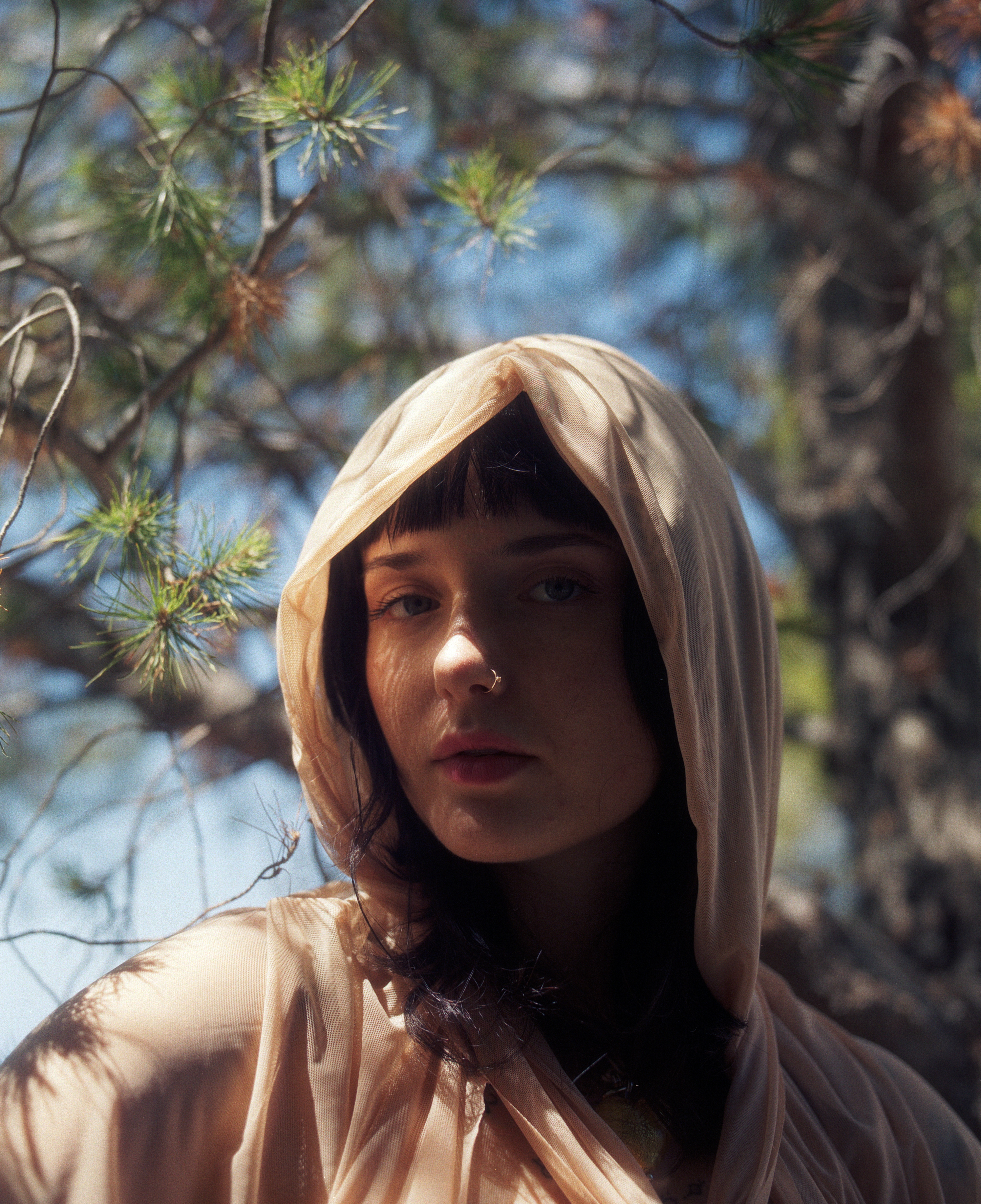 ALDIAZ 125 (KODAK GOLD)_5.jpg