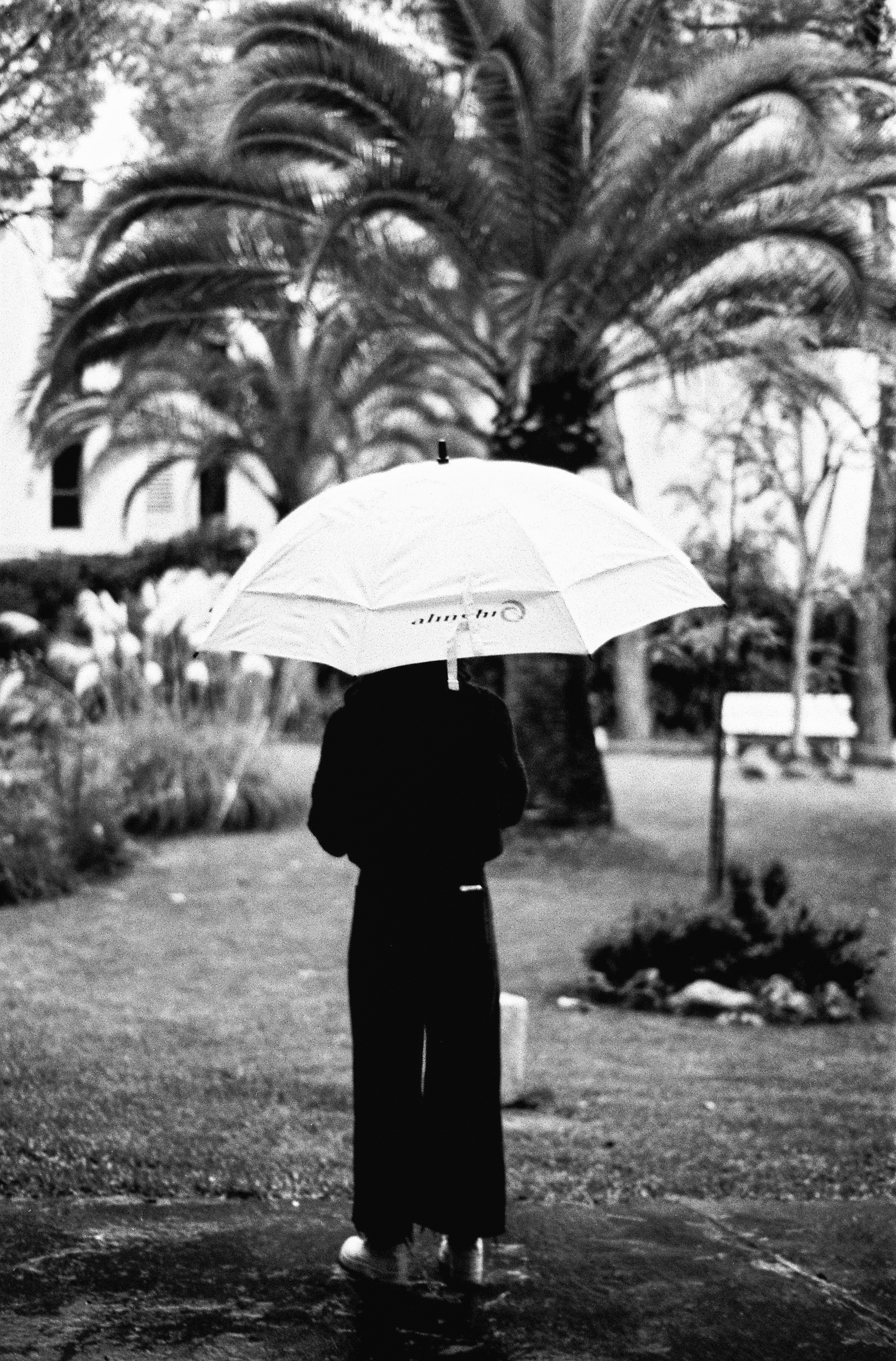 Aldiaz 064 (Rollei Infrared) 11.jpg