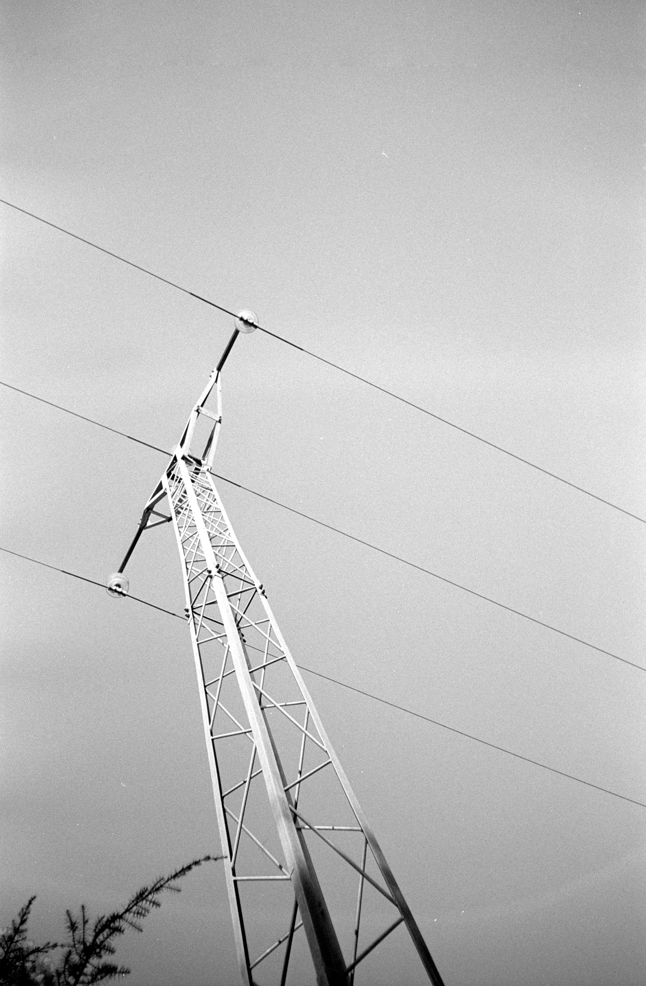 Aldiaz 013 (Kodak TMAX 400) - 14.jpg