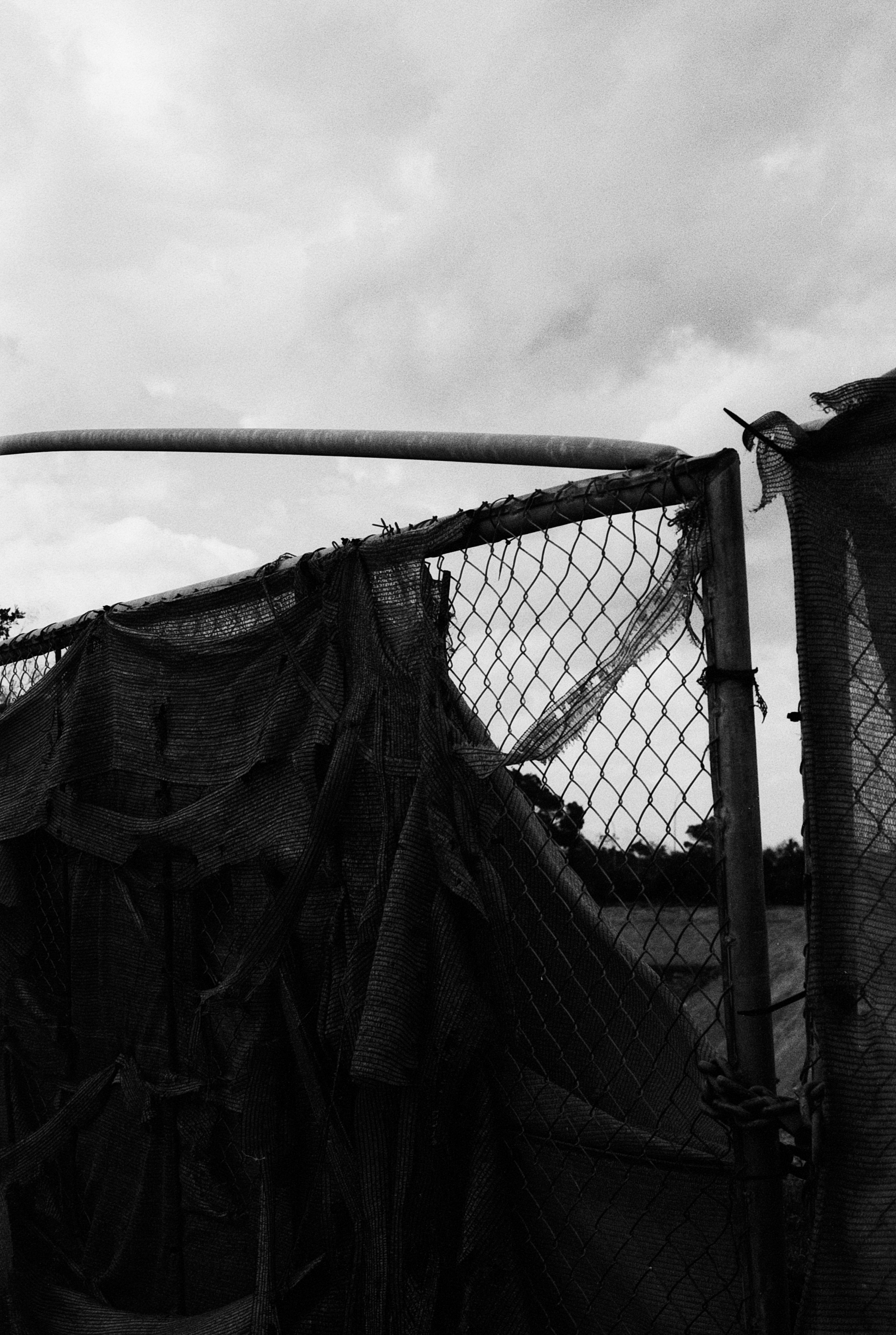 Aldiaz 043 (Rolleir Infrared 400) 1.jpg