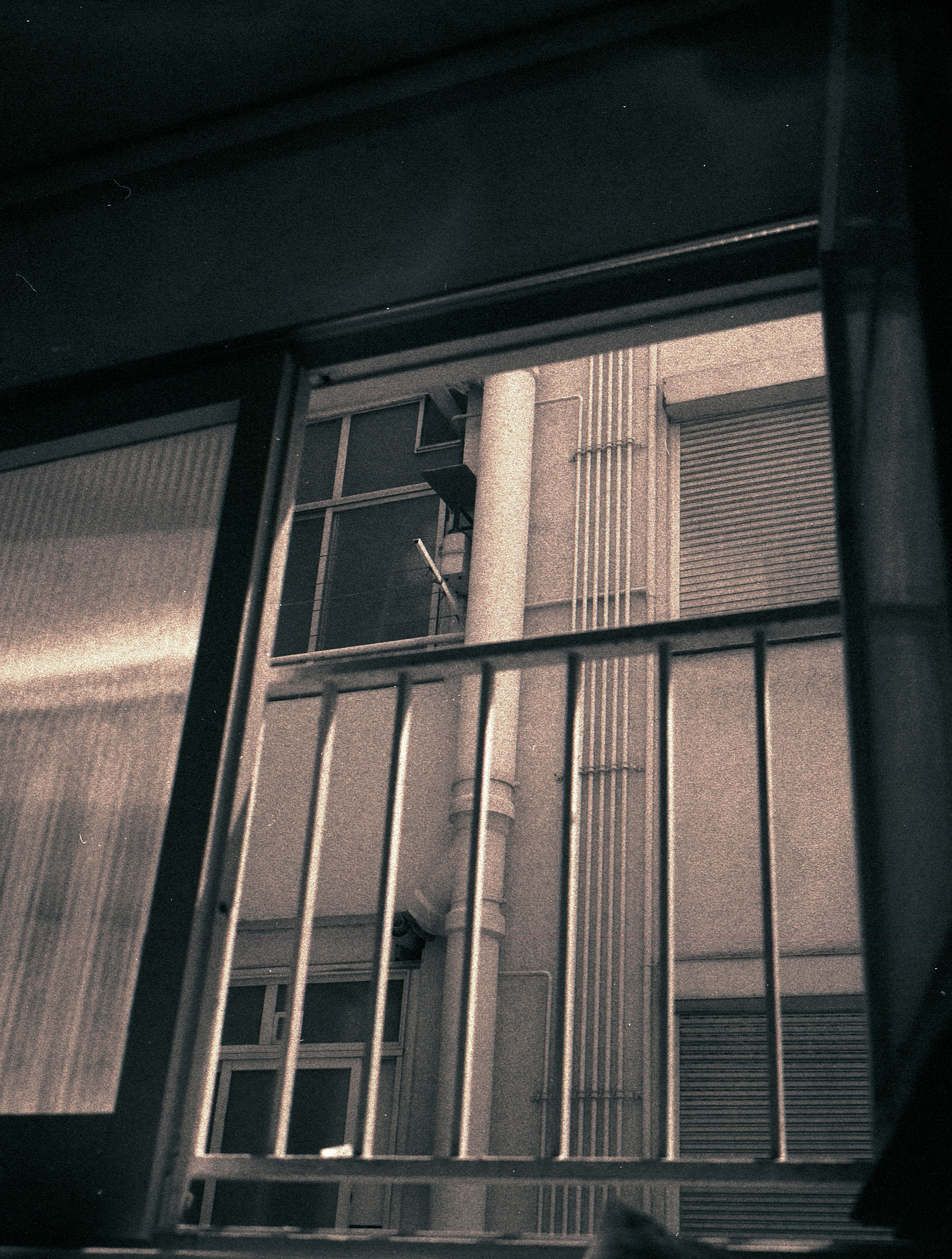 ALDIAZ 123 (foma400)_1.jpg